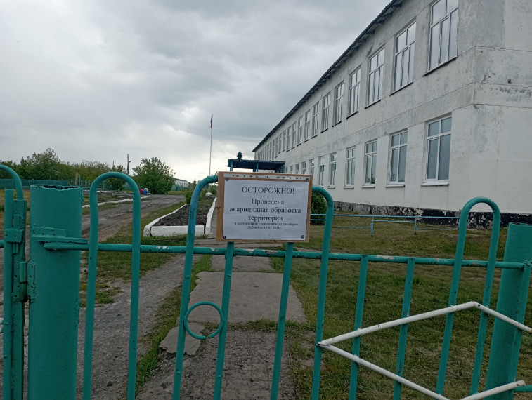Подготовка к летнему отдыху.